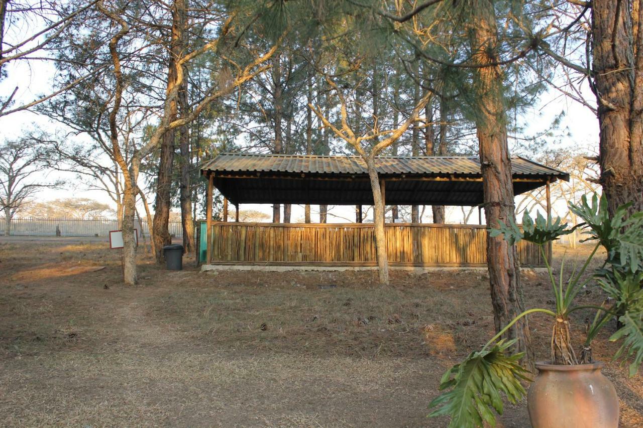 Acacia Bush Lodge بيترماريتزبورغ المظهر الخارجي الصورة